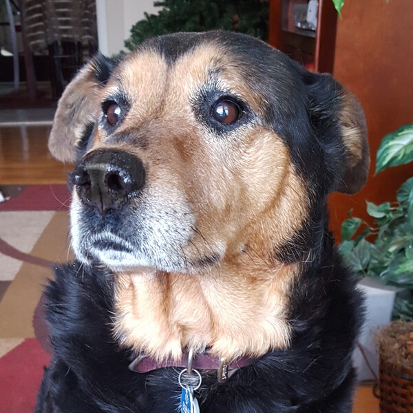 Sophie